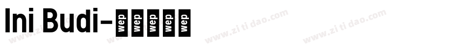 Ini Budi字体转换